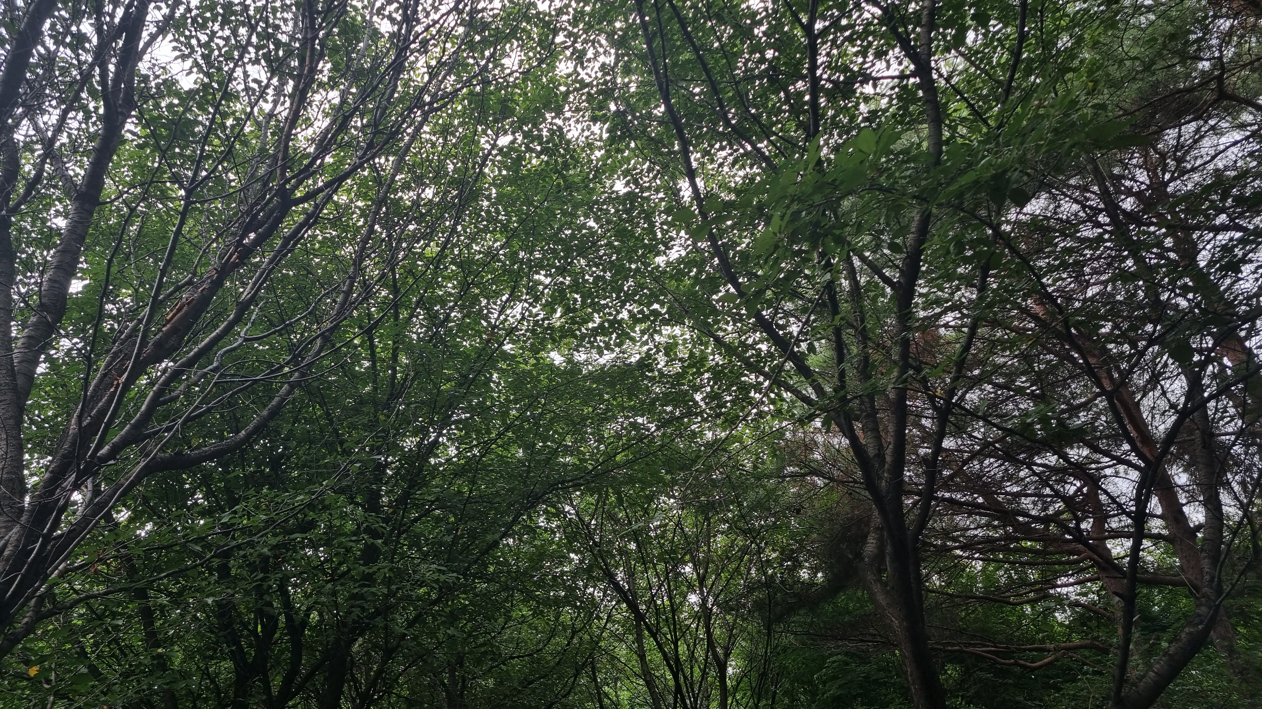 OUT